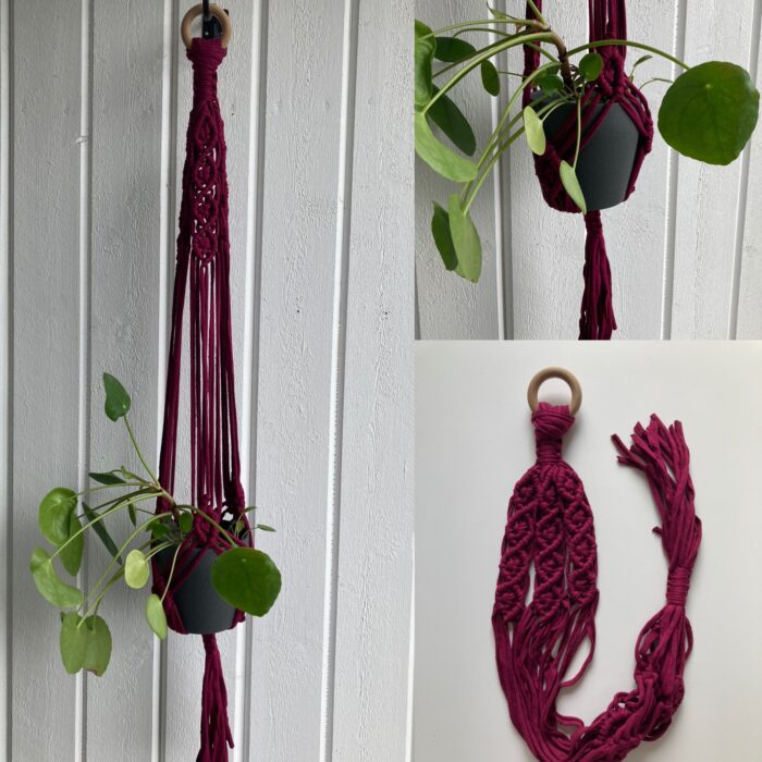 Purpurröd ampel - 100 cm