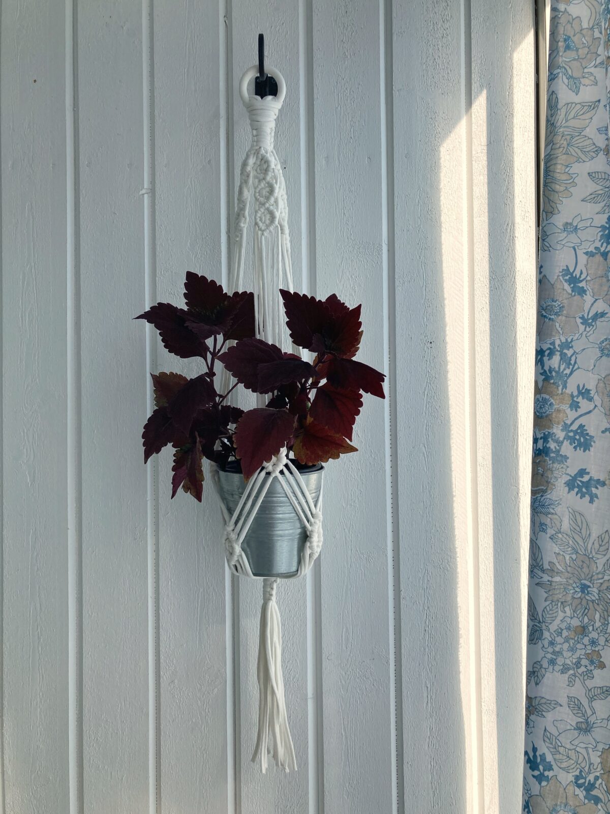 Vit ampel - 80 cm