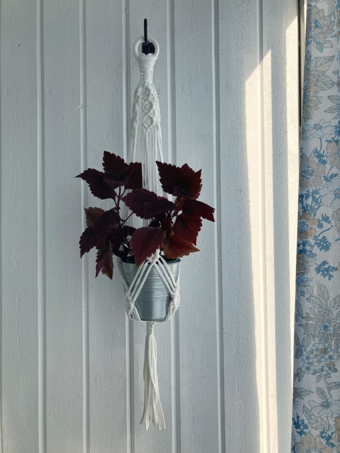 Vit ampel - 80 cm