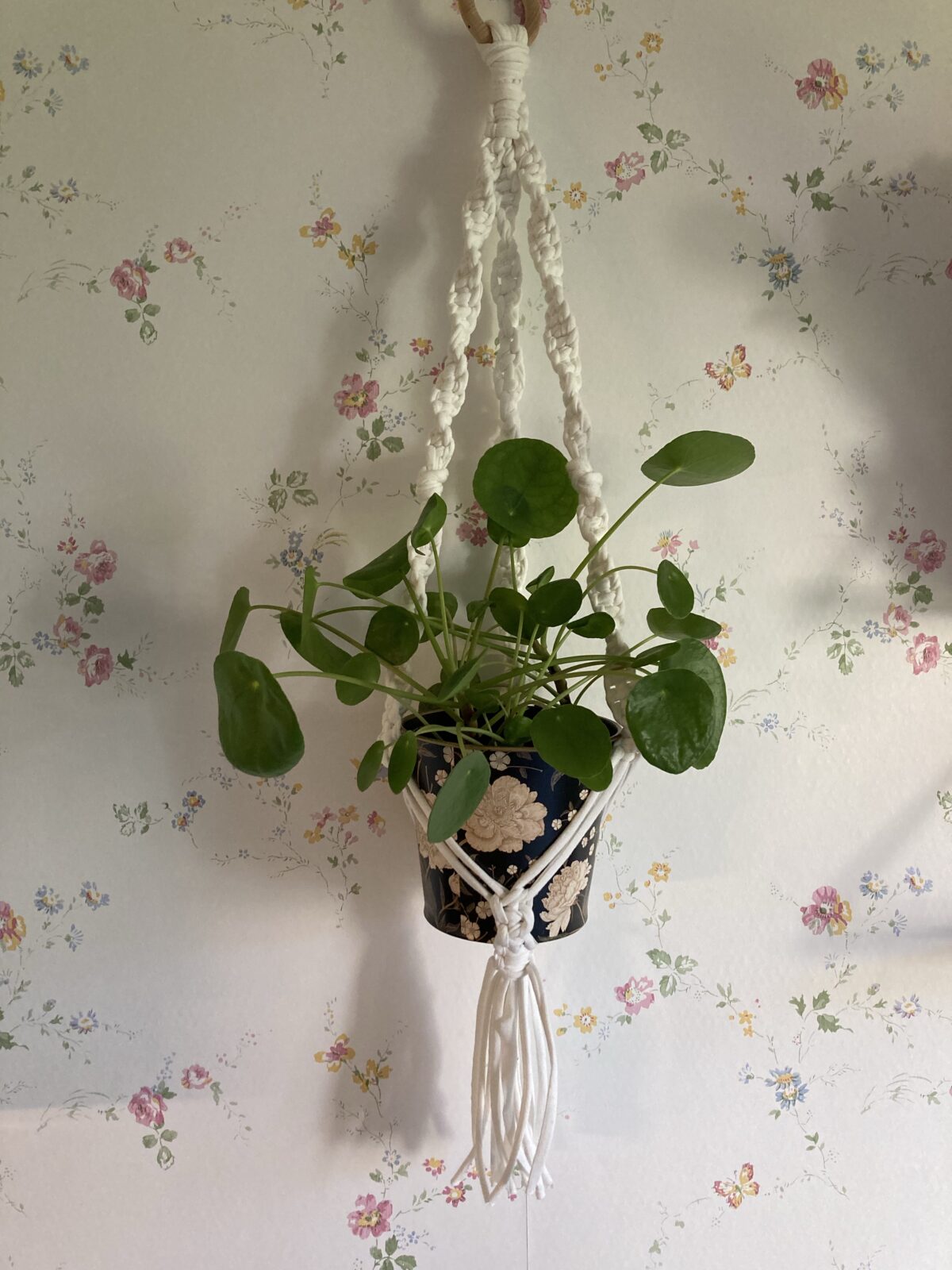 Vita amplar med snurr - Bild 5