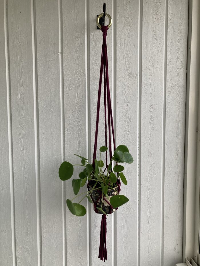 2 st amplar - purpur 90 cm