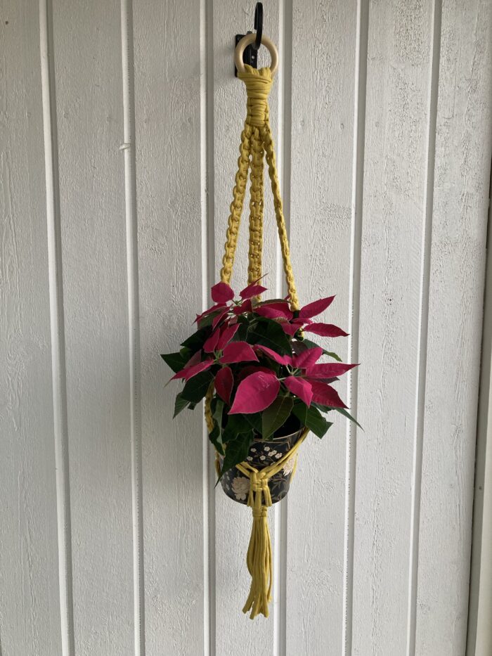 Lejongul ampel - 80 cm