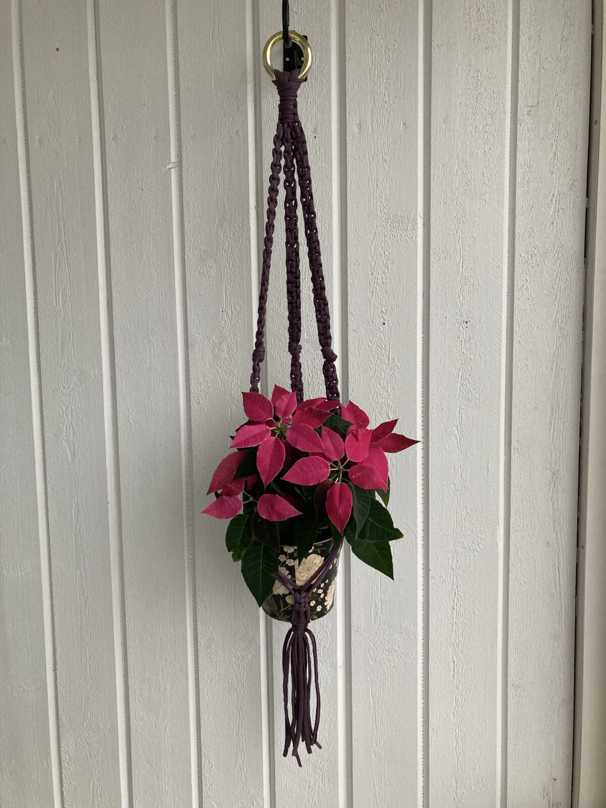 Mörklila ampel - 90 cm