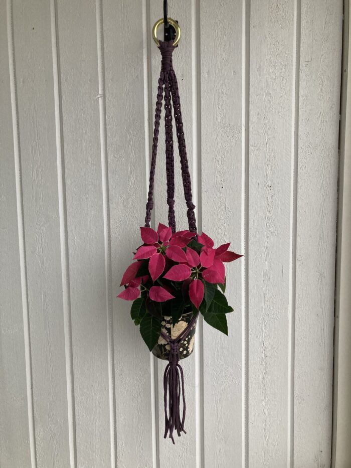 Mörklila ampel - 90 cm