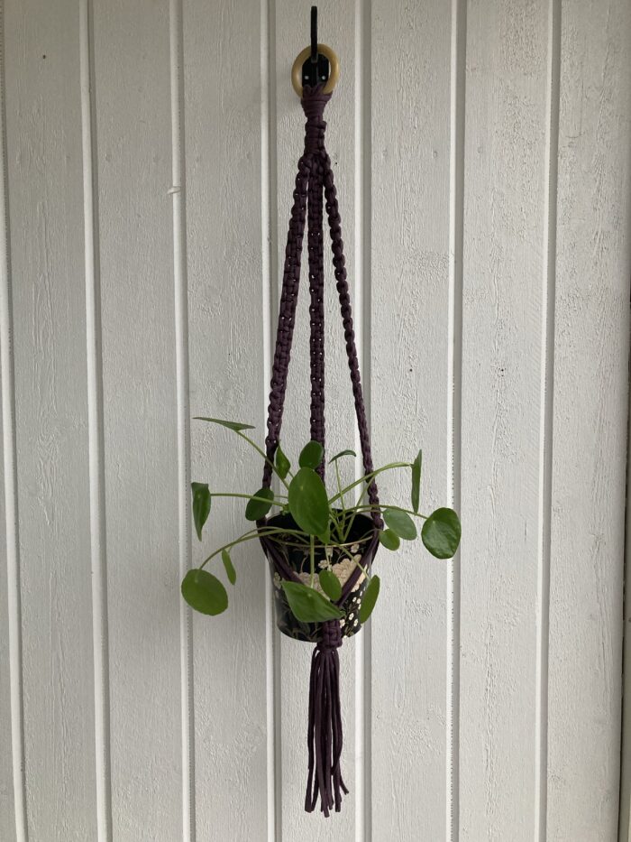Mörklila ampel - 80 cm
