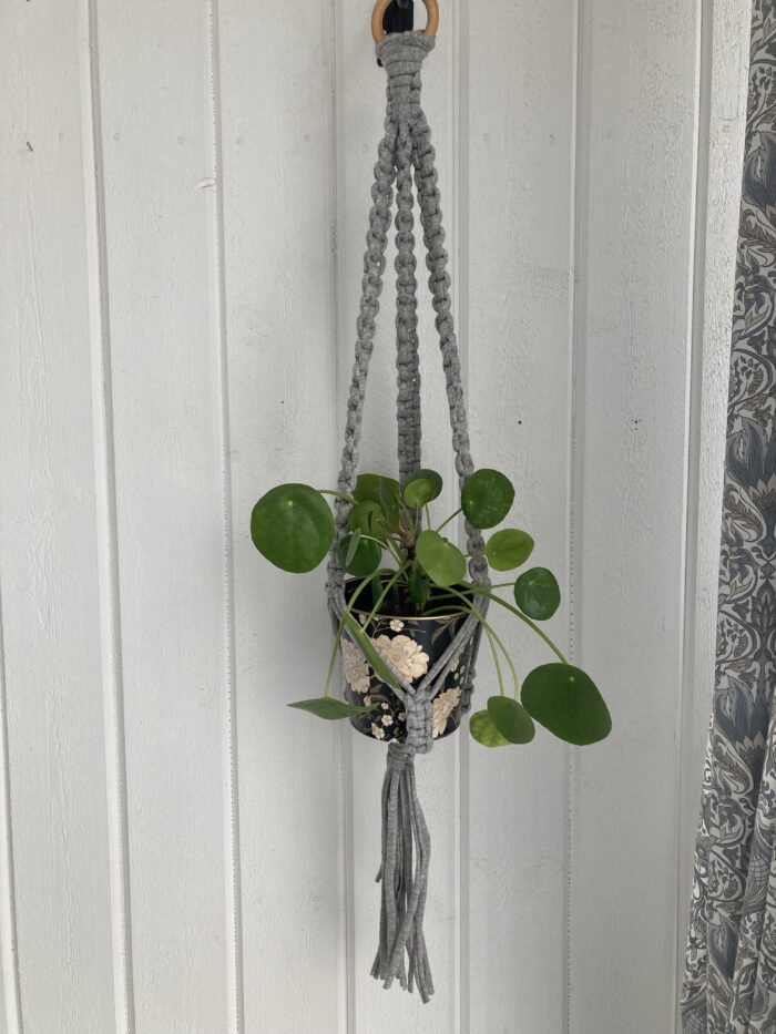 Grå ampel - 80 cm