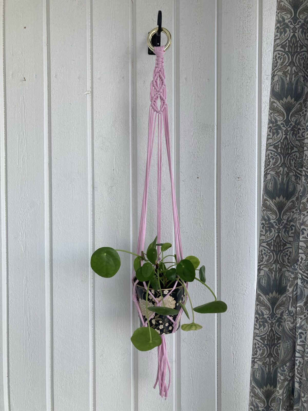 2 st ljusrosa amplar - 80 cm