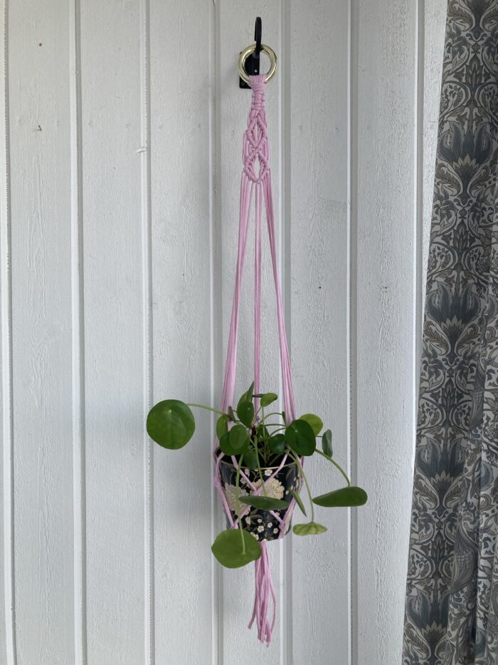 2 st ljusrosa amplar - 80 cm